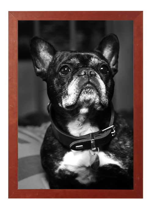 Coco